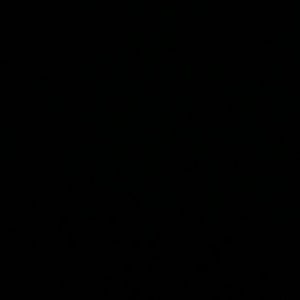 Meet your Posher, Evelyn